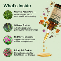 Lymphatic Drainage Wellness Drops